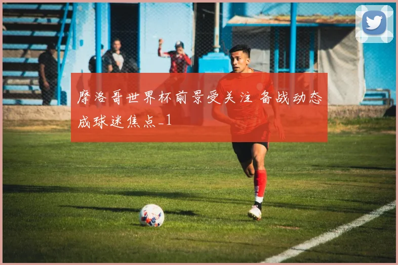 摩洛哥世界杯前景受关注 备战动态成球迷焦点_1