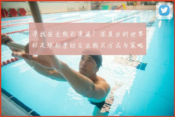 寻找安全购彩渠道？深度分析世界杯足球彩票的合法购买方式与策略