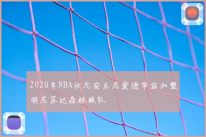 2020年NBA状元安东尼爱德华兹加盟明尼苏达森林狼队