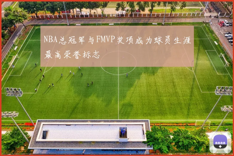 NBA总冠军与FMVP奖项成为球员生涯最高荣誉标志