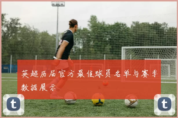 英超历届官方最佳球员名单与赛季数据展示