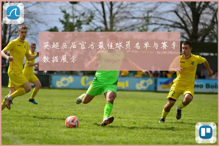 英超历届官方最佳球员名单与赛季数据展示