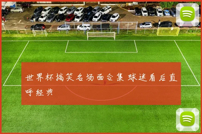 世界杯搞笑名场面合集 球迷看后直呼经典