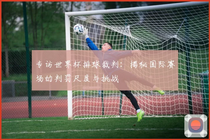专访世界杯排球裁判：揭秘国际赛场的判罚尺度与挑战