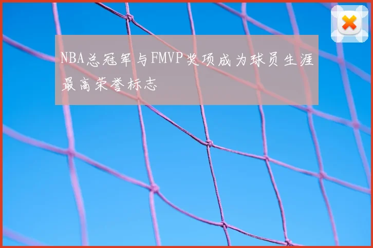 NBA总冠军与FMVP奖项成为球员生涯最高荣誉标志