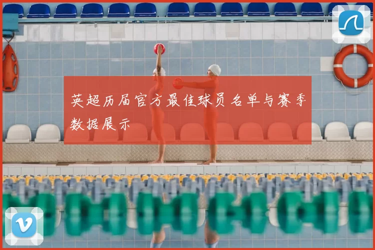 英超历届官方最佳球员名单与赛季数据展示